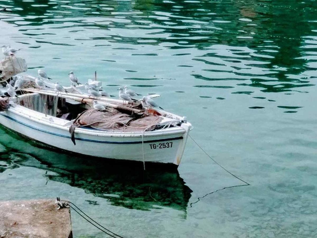 Villa Marta Apartmani Τρογκίρ Εξωτερικό φωτογραφία